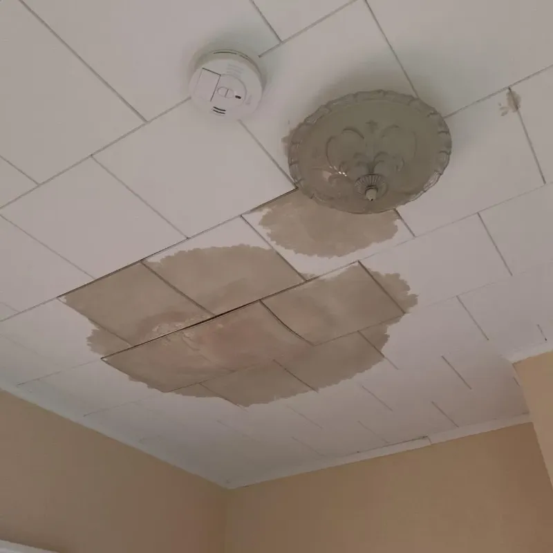 Ceiling Water Damage Repair in Stroud, OK