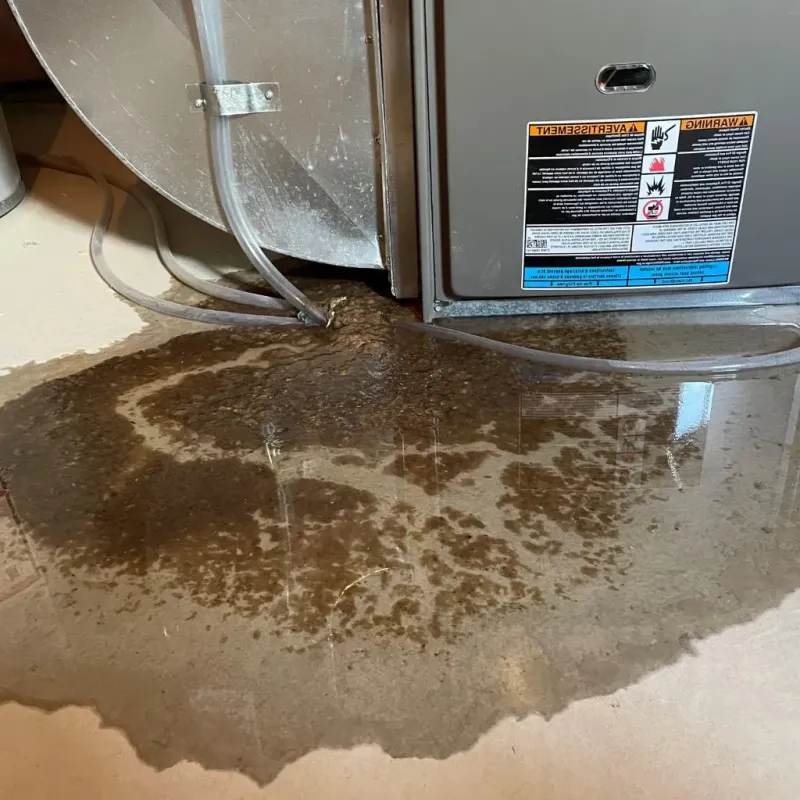 Pipe Burst and Leak Restoration in Stroud, OK